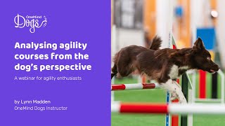 FREE Dog Agility Webinar: Analyzing agility courses from the dog’s perspective