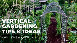 VERTICAL GARDENING TIPS \& IDEAS: Why and how to add VERTICAL SPACE to your garden for EVERY BUDGET