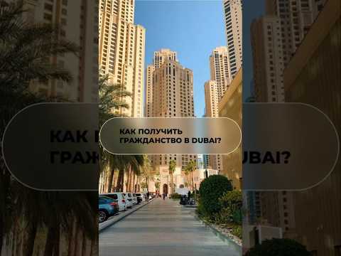 фирма в дубае