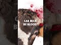 This is how blood (doesn't) work.