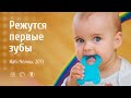 РИЦИНИОЛ. Режутся зубы у малыша, 6 мес. Отзыв