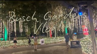 Short After School Trip To Busch Gardens Tdana