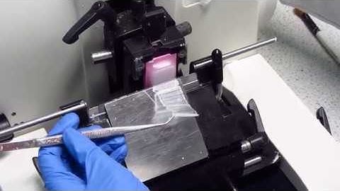 Making spheroid microarrays