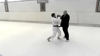 Aikido: Self Defense Against Striking Martial Arts Forms