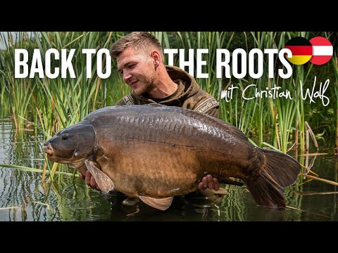 BACK TO THE ROOTS mit Christian Wolf | launische Karpfen am Baggersee | Laichzeit | Angeln Frühjahr BACK TO THE ROOTS mit Christian Wolf | launische Karpfen am Baggersee | Laichzeit | Angeln Frühjahr