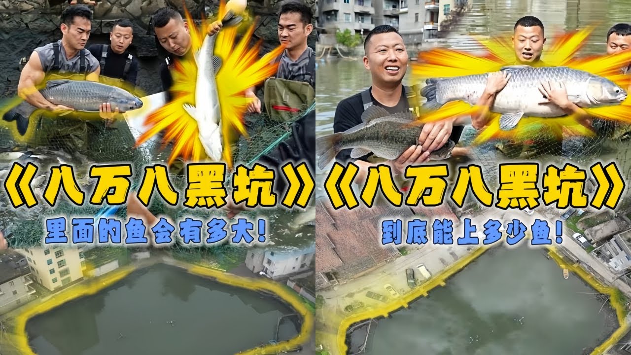 小飞哥花8.8万包下10年没干过的大黑坑，看看里面的鱼到底有多大？