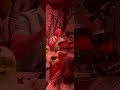 Solo de bongo⏺️música tradicional cubana▶️son cubano