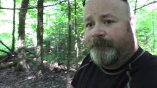 BUDGET hammock (exactly that)