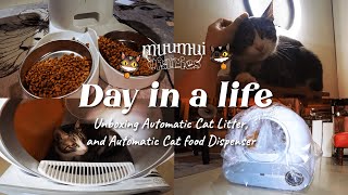 Day in a Life |  Cat Things 🐱| Silent Vlog, Unboxing Automatic Litter, ✨ Chill with Cats ✨