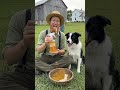 Apple Vinegar Spray For Your Dog's Itching By Amish Man #dogwash #doghealth #herbalhealing #healthy