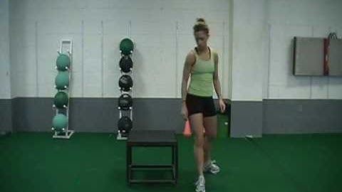 SL box jump to DL depth drop