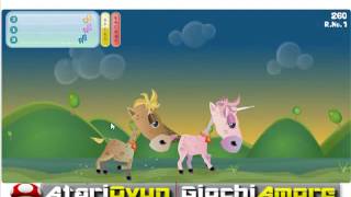 Midilli Yarışları screenshot 2