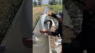 Genius Siphon Pipe Trick for Agricultural Irrigation