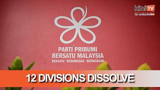 Bersatu crisis escalates: 12 divisions dissolve