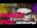 Юридические крысы!