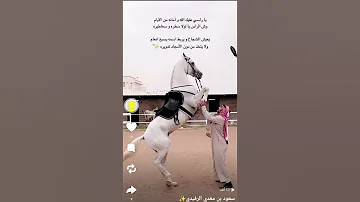 يا راسي عليك وامانه من الايام 