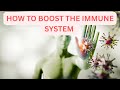 How to Boost Your Immune System Naturally