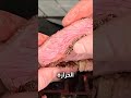 الصخور ممكن تنفجر ترند اكسبلور كومنت لايك Fyp Shorts 