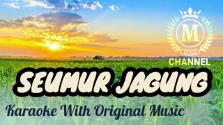 SEUMUR JAGUNG (O.M. AWARA VOLUME 12) - KARAOKE WITH LYRICS AND ORIGINAL MUSIC