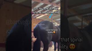 I've NEVER seen a horse react like THIS before 😳🐴 #shorts #asmr