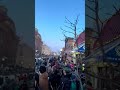 The UP 200 Dog Sled Race