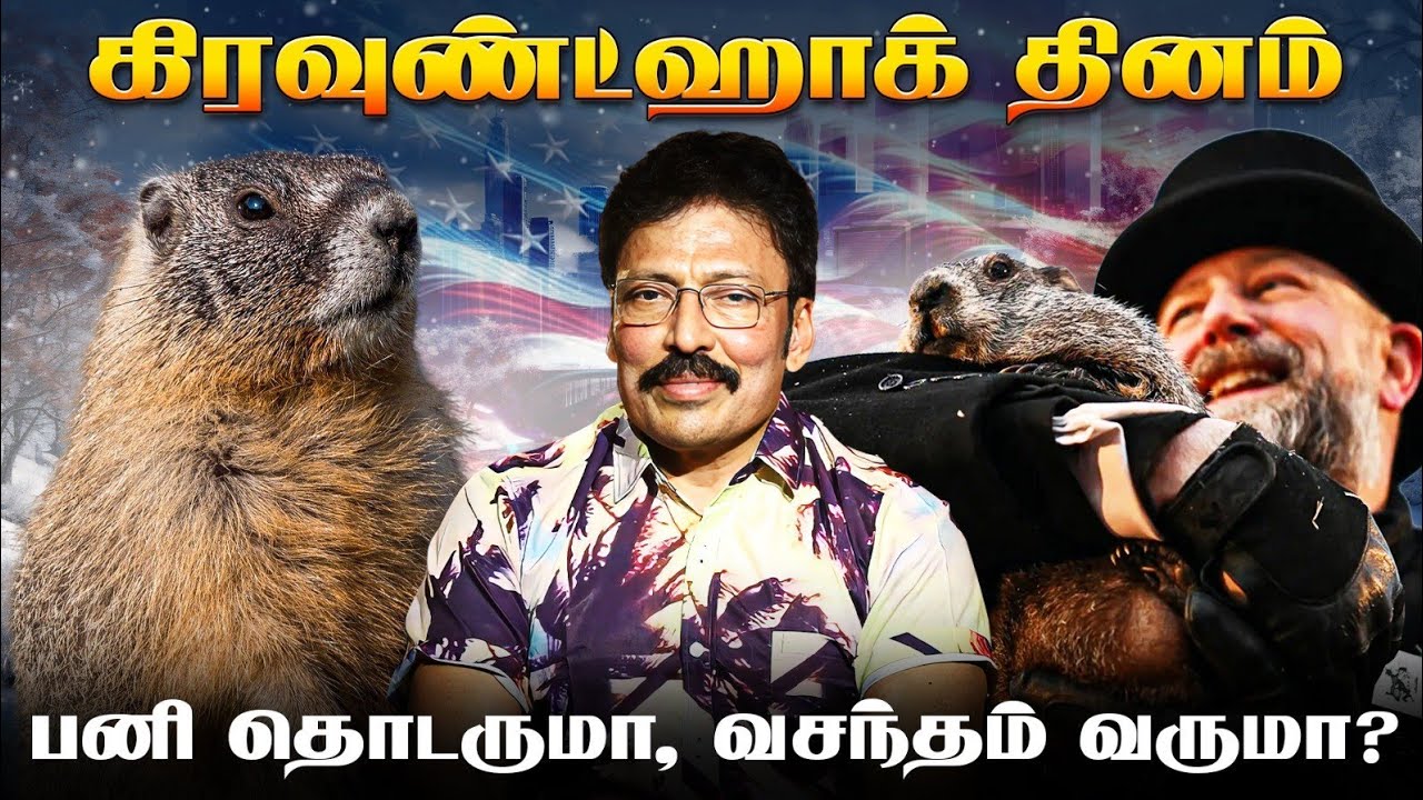 பனிக்காலத்தை கணிக்கும் கிரவுண்ட்ஹாக் தினம் - அமெரிக்காவில் சுவாரசியம் ...