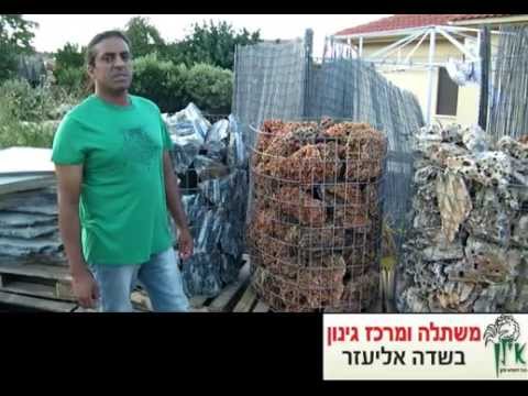 גן האבן - איך לעצב גינה יפהפיה וחסכונית במים באמצעות שימוש באבנים למסלעות, חיפויים, שבילים ועוד