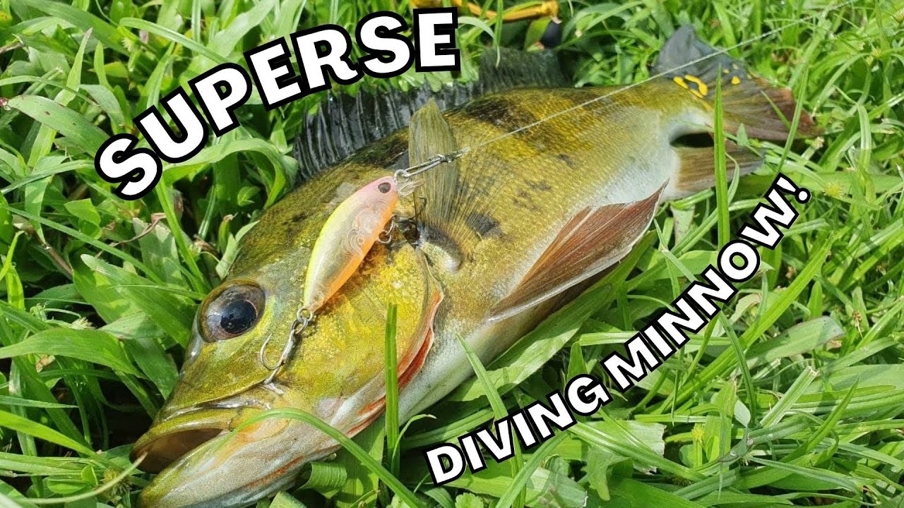 Fishing in Singapore Reservoir! Lures from Superse!! ONE FISHING TACKLE