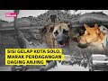 Menelusuri Perdagangan Daging Anjing di Kota Solo | Narasi Explains