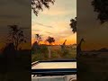 Unforgettable Tanzania ParksрџЏ рџЊ рџ Unforgettable Tanzania ParksрџЏ рџЊ рџ