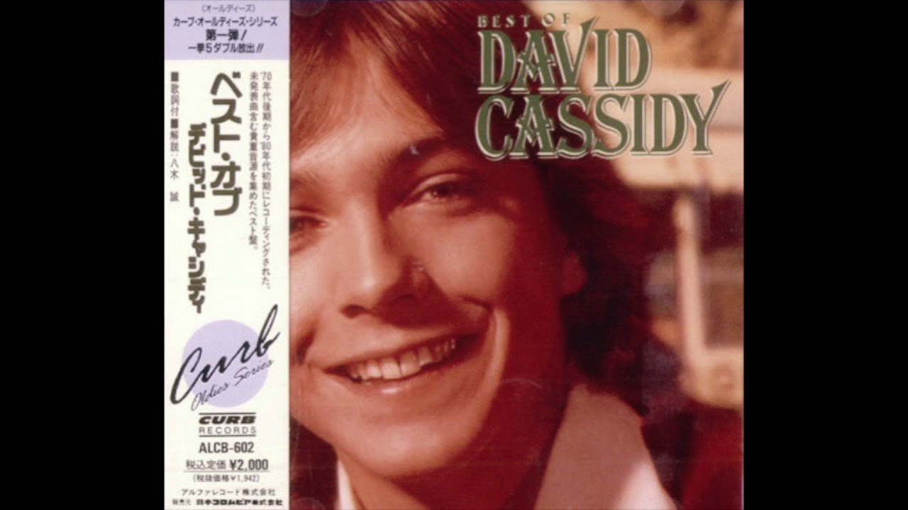David Cassidy - Hurt So Bad