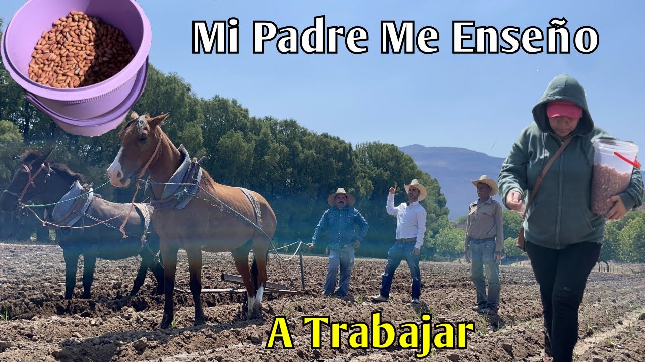 La Tierra Es La Madre De Todos, Nos Da De Comer A Todos.🥗😋👏🤠🌱🇲🇽🥜