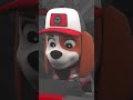 Big Truck Pups save a Satelite crashing from Space! #PAWPatrol #shorts