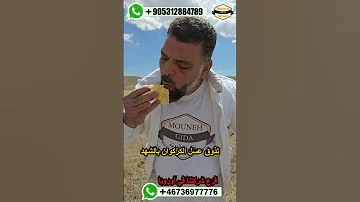شراسة النحل اثناء جني العسل لسع النحل من فوق بدلة النحل عسل اوروبا المانيا تركيا غذائيات المونة 