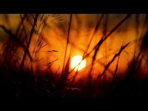 Renaldas - Back Then