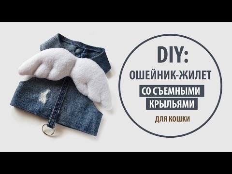 DIY: Джинсовый ошейник-жилет со съемными крыльями для кошки | Tutorial Jeans recycle