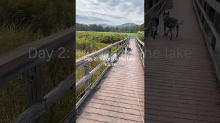 Day 2 of our dog friendly week-long adventure to the Finger Lakes, NY