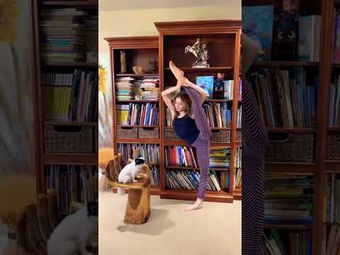 Flexibility check with