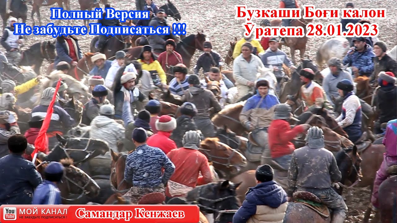 Бузкаши Улок 28.01.2023  Боги калон полный версия Уратепа Kopkari Ko'kmar Самандар Кенжаев