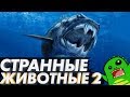 Странные ВЫМЕРШИЕ животные