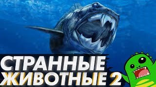 СТРАННЫЕ ВЫМЕРШИЕ ЖИВОТНЫЕ (часть вторая) СТРАННЫЕ ВЫМЕРШИЕ ЖИВОТНЫЕ (часть вторая)
