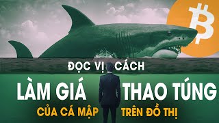 Có Đọc Vị Được Cách Làm Giá Và Thao Túng Của Các Mập Trên Đồ Thị Của Bitcoin? || Tuệ Trading