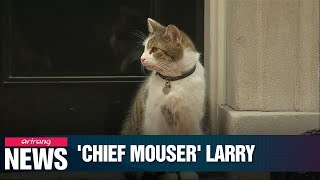 'Chief mouser' Larry may be ousted from Downing St. as PM Johnson looks for a dog