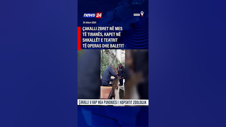 Çakalli zbret në mes të Tiranës, kapet në shkallët e Teatrit të Operas dhe Baletit