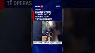 Thumbnail for Çakalli zbret në mes të Tiranës, kapet në shkallët e Teatrit të Operas dhe Baletit