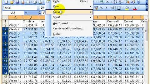 AM 4123 Hide rows columns and worksheets Microsoft Excel 2003
