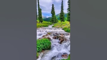 #سورة الكوثر الشيخ أحمد مصطفى