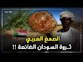 الصمغ العربي أين يذهب نفط السودان الذي لا ينضب أكبر المستهلكين له بيبسي وكوكولا 