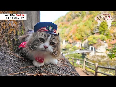 43 会津鉄道で遠足だにゃ！「ふにゃ～り日和」 - YouTube