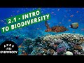 Exploring The Importance Of Biodiversity In Ecosystems